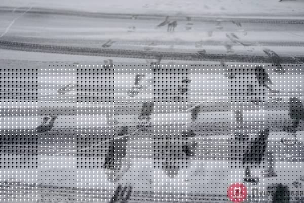 Час снега в Одессе: что мы увидели на Таирова и в центре. Фоторепортаж