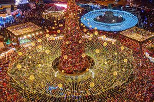 Главную елку Одессы признали одной из самых красивых в Украине