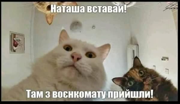 
                                                                        "Приведи жену – получи отсрочку". Лучшие мемы о воинском учете для украинских женщин
                                                                                                                                                                                                                    