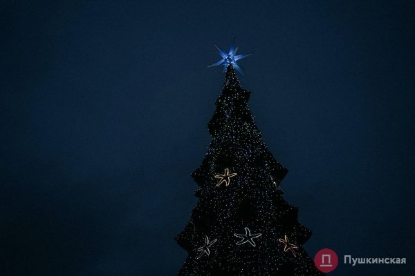 В Одессе зажгли главную елку города: с песнями, танцами и Святыми Николаями на байках. Фото