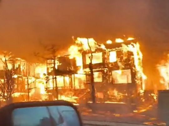 В американському штаті Колорадо вирують рекордні лісові пожежі (відео)