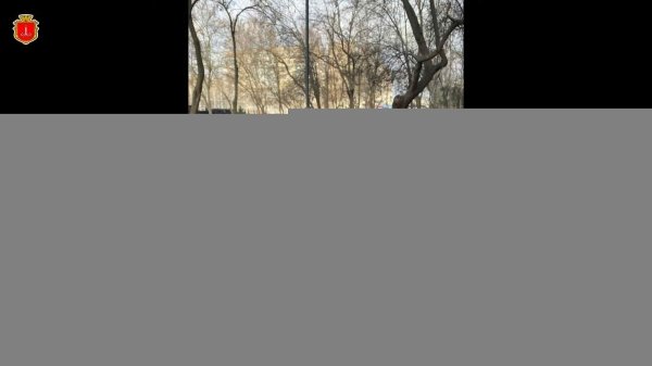В Одессе вандалы повредили недавно установленную подсветку деревьев за 1,5 миллиона