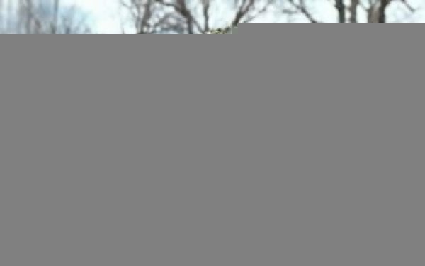 В Генштабе заявили о замедлении продвижения армии РФ