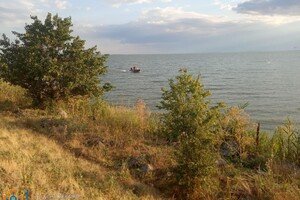 Снимали кота с дерева и тушили 43 пожара: как прошли сутки у одесских спасателей