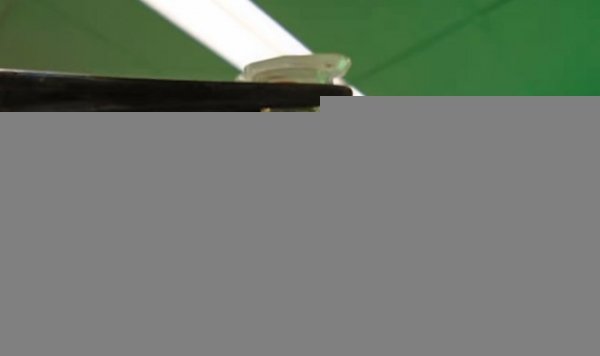 Бактериальное биотопливо превзошло по параметрам авиационное горючее