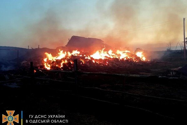 Cпасли 30 тонн зерна, тушили 40 пожаров: как прошли сутки у одесских спасателей