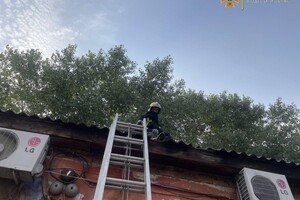 Горели сауна в десятиэтажке и здание открытым пламенем: как прошли сутки у одесских спасателей