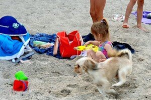 Одесситы устраивают пляжные купания по вечерам 
