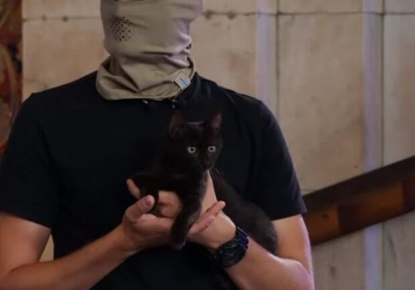 На двойном пайке: как сейчас живет кот, которого спасли с острова Змеиный