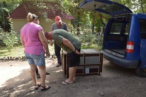 В Одесский зоопарк привезли гиеновидную собаку