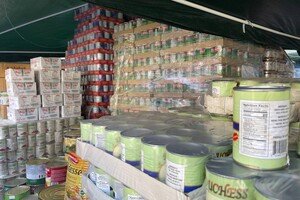 В Одесской области планируют разместить 50 тысяч беженцев, на учете стоят более 100 тысяч