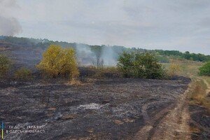 В Одесской области загорелись почти 30 гектар леса