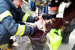 Пожары в ресторане и жилом доме: как прошли сутки у спасателей в Одессе