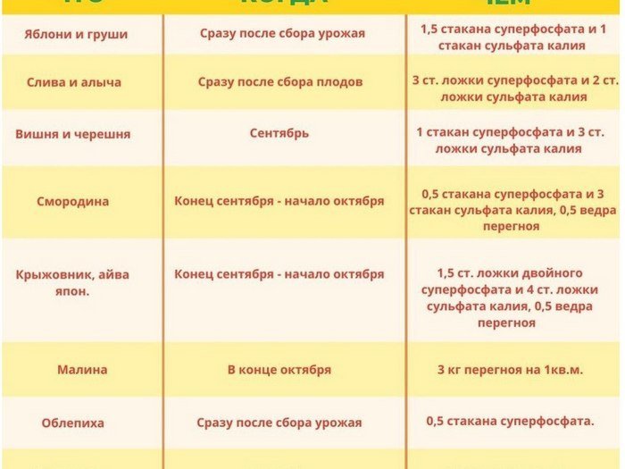 З турботою про майбутні врожаї: які рослини та чим підживлювати на дачі у вересні