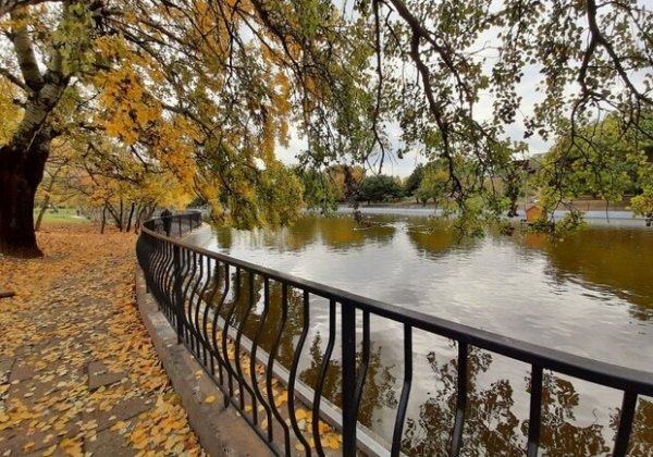 Ранняя зима или осеннее тепло: какая погода будет в Одессе в ноябре