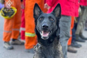 В Одесской области готовят добровольное формирование гражданской защиты