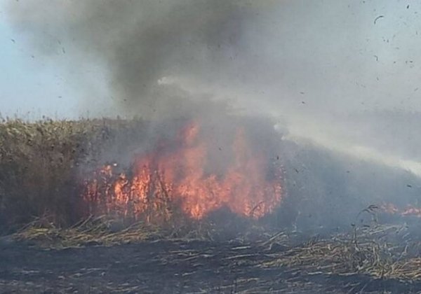 В ГСЧС и Одесской ОВА объяснили, почему в Одессе пахло гарью