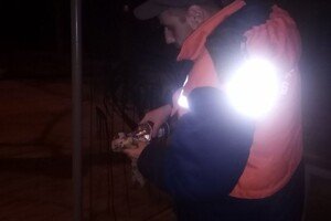 С начала года вандалы повредили 17 остановок в Одессе