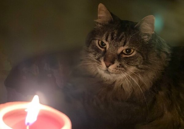 У некоторых одесситов ночью может пропасть свет