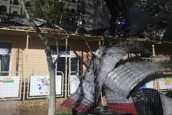 В Одессе высадили клены, вишни, акации и кедры