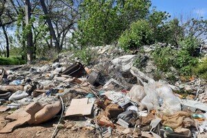 Возле одного из ЖК Одессы обнаружили незаконную свалку