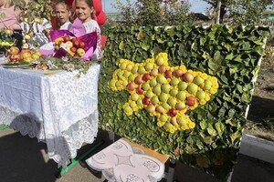 Рекорд: в Одесской области дети выложили огромный портрет Тараса Шевченко из яблок
