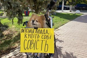 Протесты из-за неуместных тендеров теперь проводят не только в Одессе, а и в области