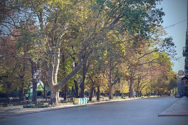 В Одессе откроют для пешеходов Приморский бульвар