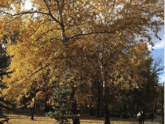 На вихідних в Україні — майже літо: на Одещині очікують до +30!