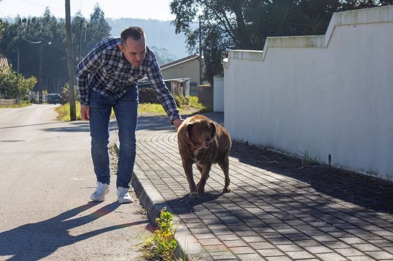 Помер найстаріший собака у світі: Бобі був 31 рік