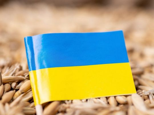 Прорив у&nbsp;вирішенні проблеми експорту українського зерна: про що&nbsp;домовилися Київ, Варшава та&nbsp;Вільнюс