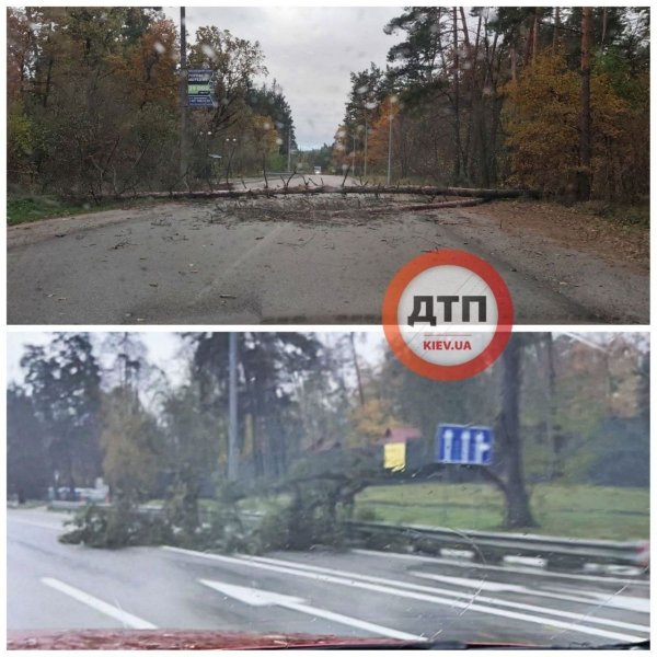 «Вітровий Армагедон» в Києві: сильний вітер вириває в столиці з коренем дерева і трощить рекламні конструкції (відео)