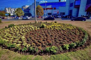 В Одессе преображают Старобазарный сквер