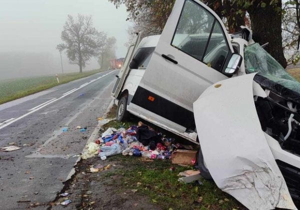 В Польше разбился автобус с украинцами: что известно