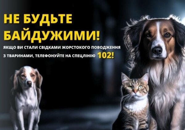 В Одесской области пенсионер до смерти избил собаку