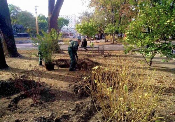 В Одессе преображают Старобазарный сквер