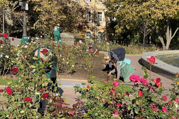 В Одессе преображают Старобазарный сквер