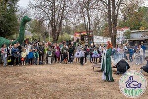 Тыквофест в зоопарке и шабаш в центре: как одесситы отметили Хэллоуин 