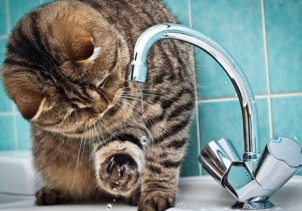 В Одессе перебои с водоснабжением: что случилось