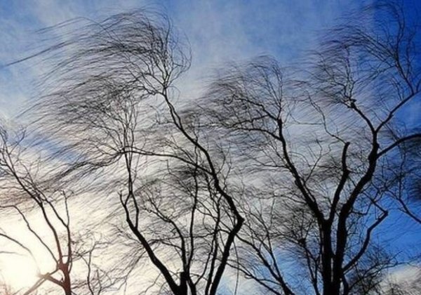 В Одессе объявили оранжевый уровень опасности из-за сильного ветра