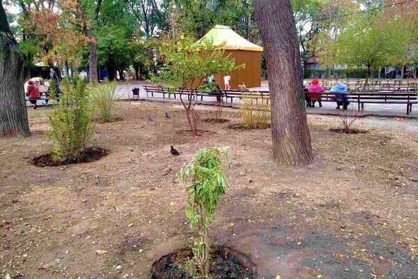 В Одессе преображают Старобазарный сквер