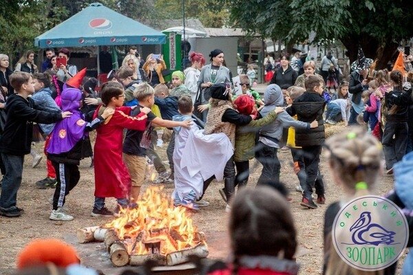Тыквофест в зоопарке и шабаш в центре: как одесситы отметили Хэллоуин 