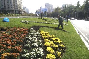 В Одессе преображают Старобазарный сквер