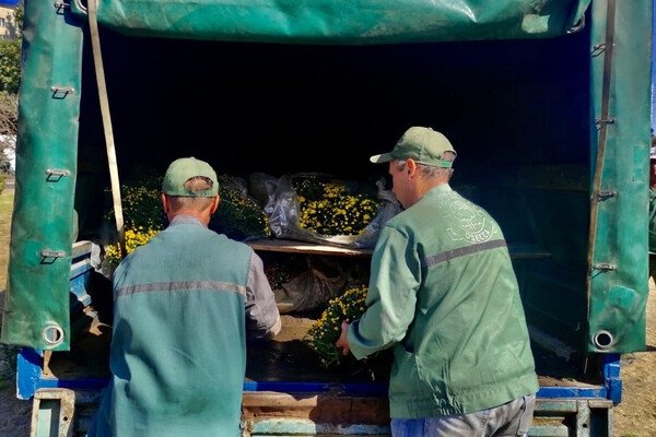 В Одессе преображают Старобазарный сквер