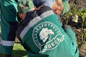 В Одессе преображают Старобазарный сквер