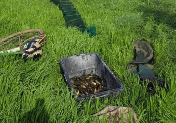 Житель Одесской области получил полтора года ограничения свободы за браконьерство