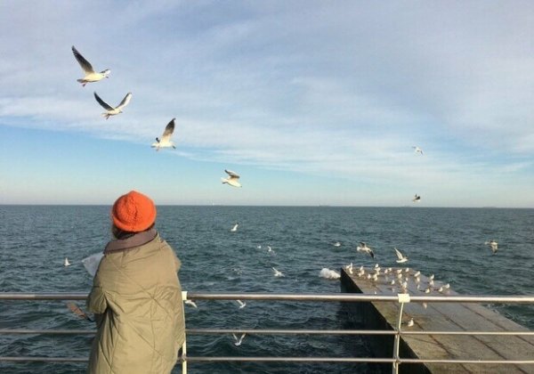 Зима отменяется: какая погода ждет одесситов на грядущих выходных 