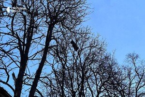 Подробности ночной атаки на Одессу: целых квартир в пострадавшем доме не осталось 