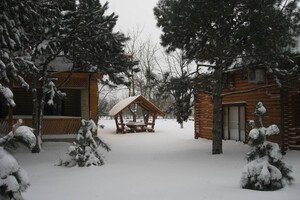 Места для отдыха в Одесской области, куда можно поехать этой зимой: цены 2024 года