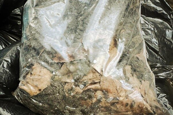 В Одессе химики собрали 30 килограмм грунта, загрязненного ртутью
